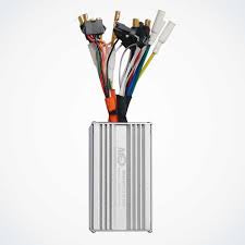 DUALTRON spider 2020 controller - Lifty Electric Scooters