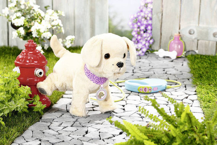 My First Pet Dog - Lifty Electric Scooters