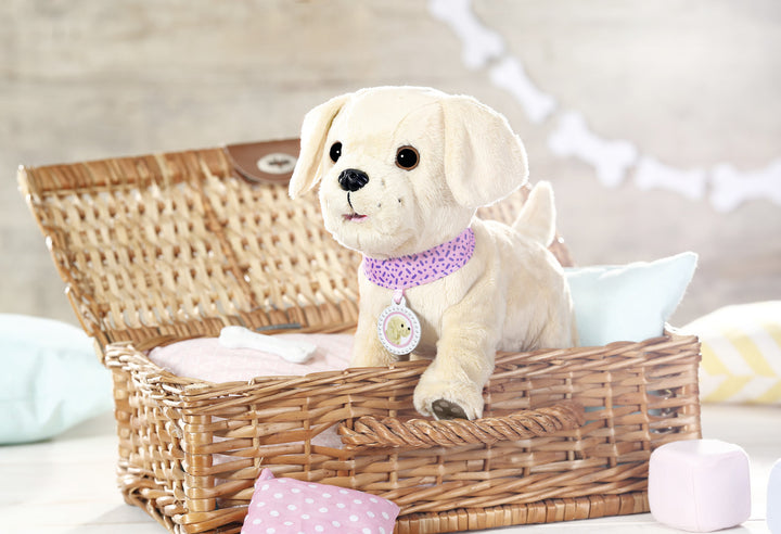 My First Pet Dog - Lifty Electric Scooters