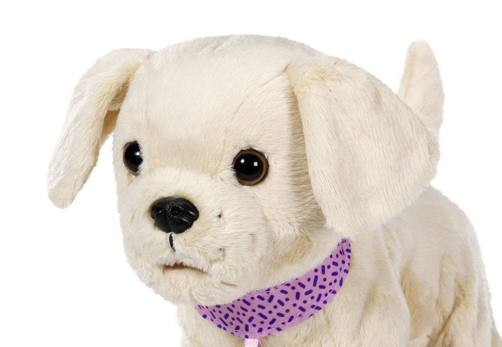 My First Pet Dog - Lifty Electric Scooters