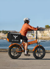 ENGWE EP-2 Boost Electric Bike plain product image 5