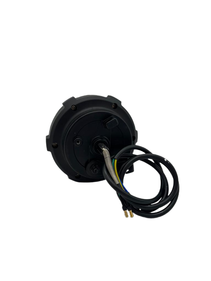 DUALTRON POP REAR MOTOR (SINGLE MOTOR DUALTRON POPULAR ONLY) - Lifty Electric Scooters