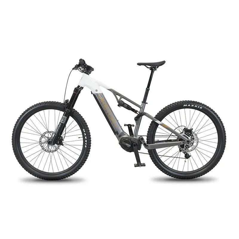 TERRAM MTB eBike - Lifty Electric Scooters