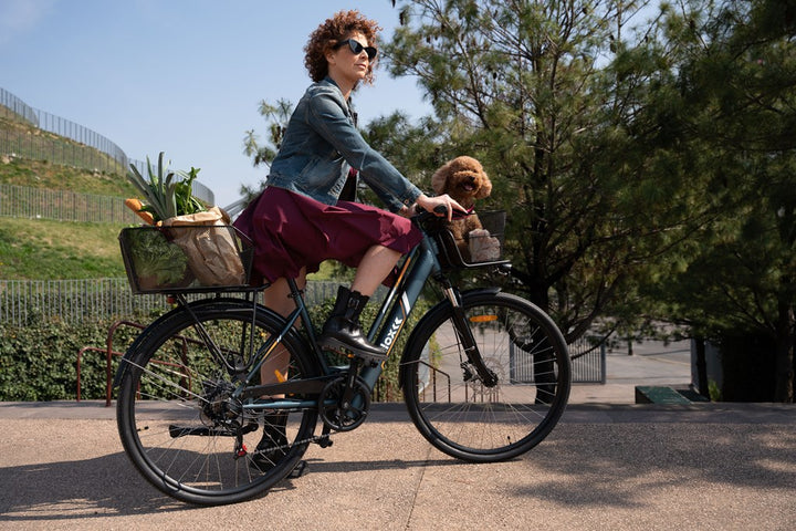 NIL0X C1 - CARGO LIGHT electric bike! - Lifty Electric Scooters