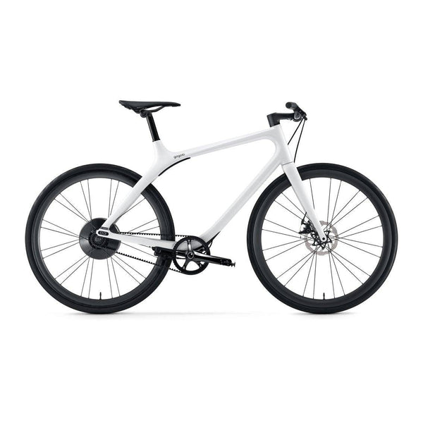 GOGORO EEYO 1S WHITE ( CARBON FIBER ) - Lifty Electrics